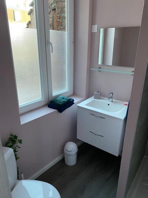 Splendide Au Calme Appartement Cambrai